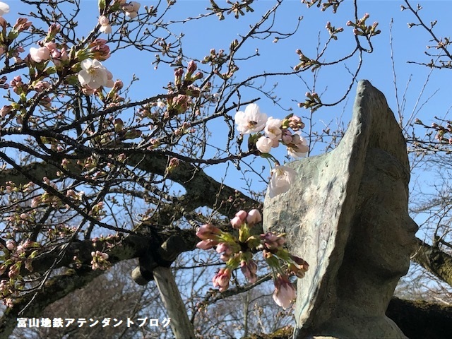 パフェを食べながらお花見できるよ❀_a0243562_13154975.jpg