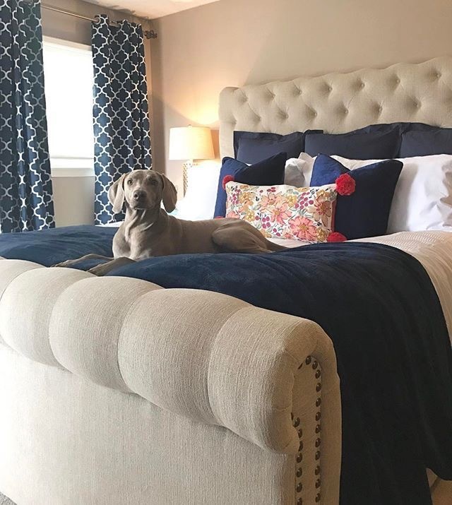 c0181769_02043817.jpeg
