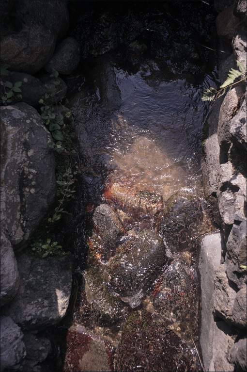 c0168172_14562403.jpg