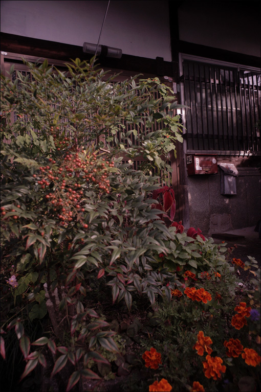 c0168172_14580657.jpg