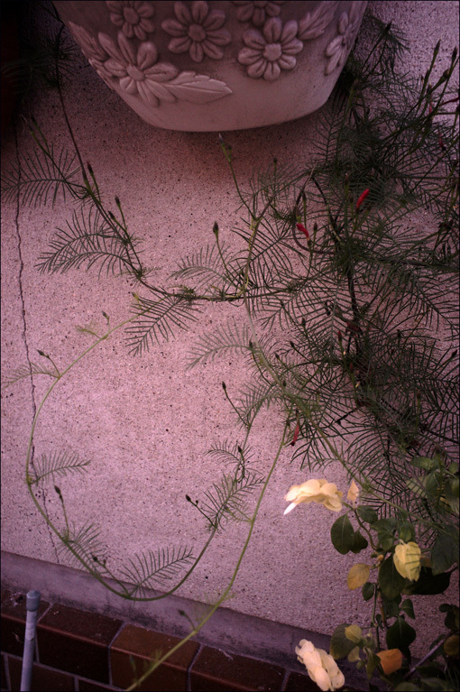 c0168172_14581234.jpg
