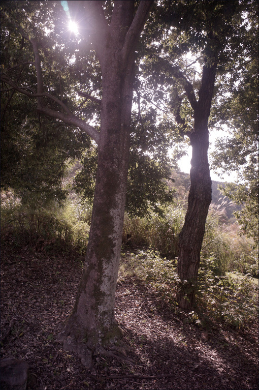 c0168172_14582920.jpg