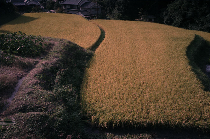 c0168172_14584055.jpg