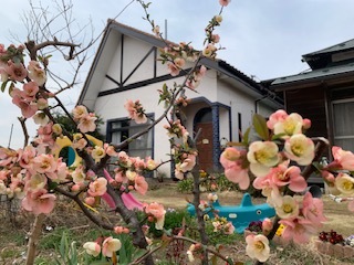 生涯学習センター&お庭の花_e0040673_12570188.jpg