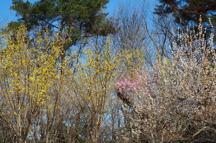 e0165983_09270391.jpg