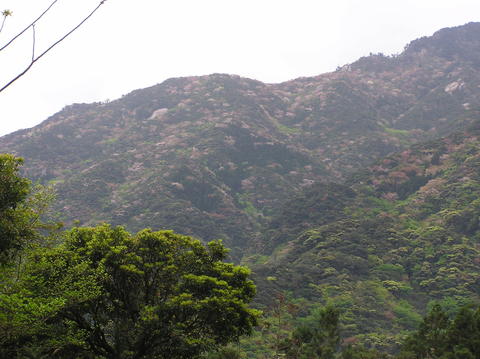 c0171889_1714940.jpg