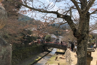 平日なのに・・・_a0233991_20342214.jpg