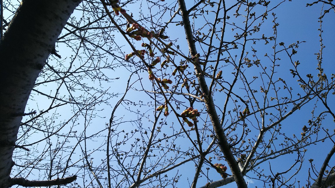 c0109891_14565291.jpg