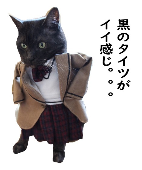 試着室_a0333195_20433515.jpg