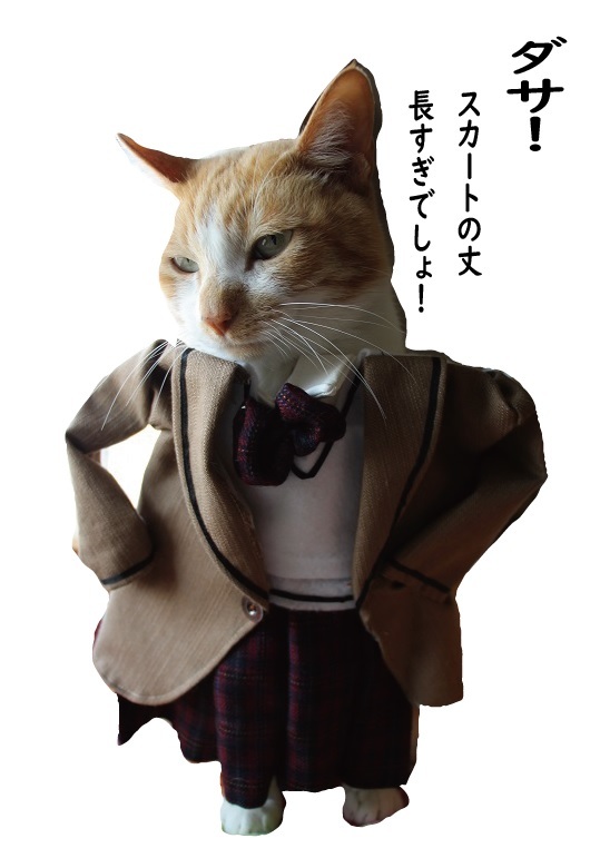 試着室_a0333195_20455635.jpg