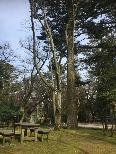 大好きな散策コース☆_b0140797_09323735.jpeg