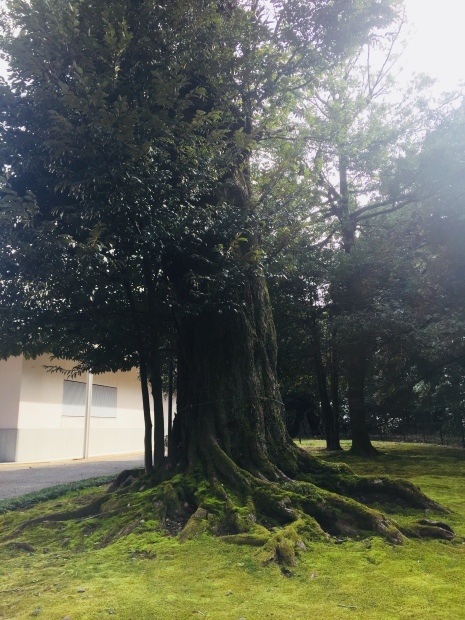 大好きな散策コース☆_b0140797_09365204.jpeg