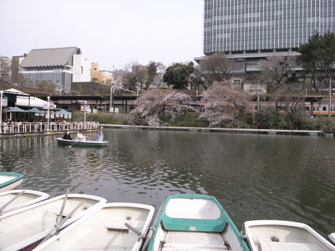 東京の桜は、三分咲き_d0122797_00523451.jpg