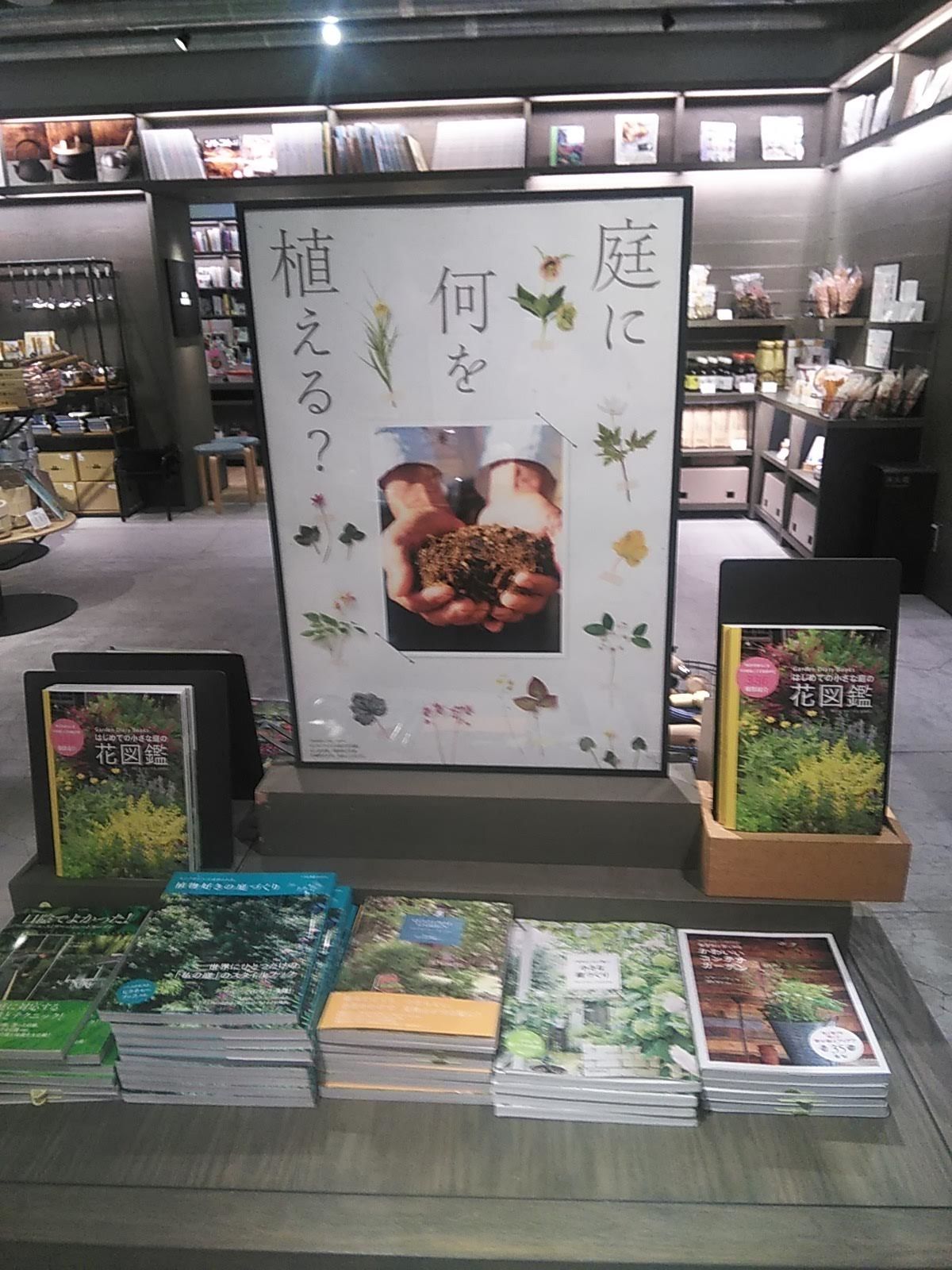 変態姉さんとデート　その２_b0331802_01223668.jpg