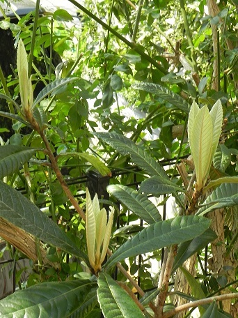 c0152002_21342406.jpg