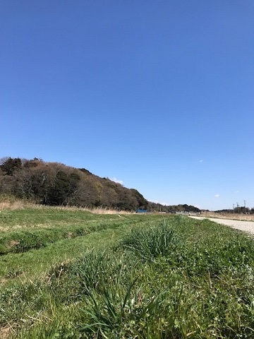 f0242002_14180568.jpg