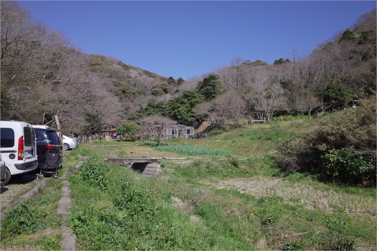 SYOKU-YABO農園　三浦半島大楠山_c0202706_21532768.jpg