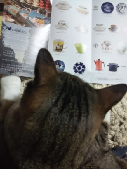チャームポイントは?_f0316507_07471407.jpg