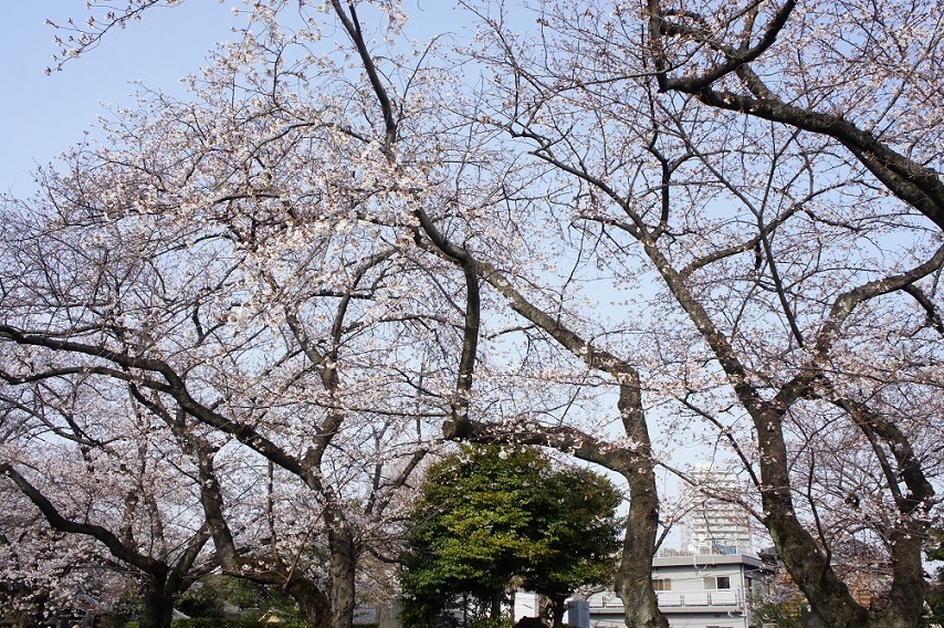 b0112909_23034805.jpg