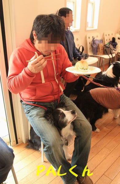 Himeちゃんのお誕生会_d0224111_14160692.jpg
