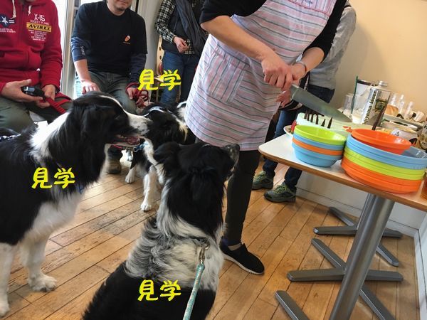 Himeちゃんのお誕生会_d0224111_14515875.jpg