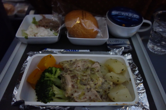 シンガポール2019 機内食と買ってきたもの_e0230011_17103673.jpg