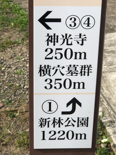 e0034013_16243075.jpg