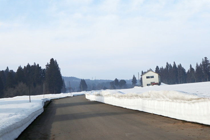 f0067514_10215055.jpg