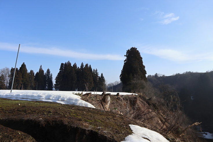f0067514_10365819.jpg