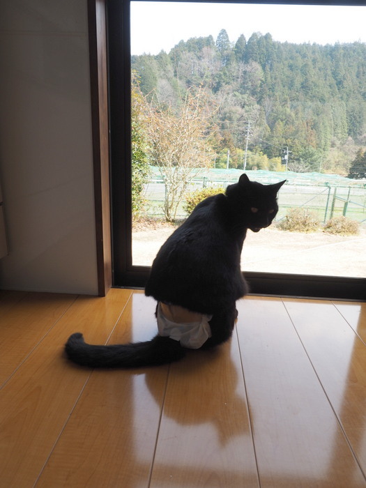 今日のくうちゃん_c0116915_00312433.jpg