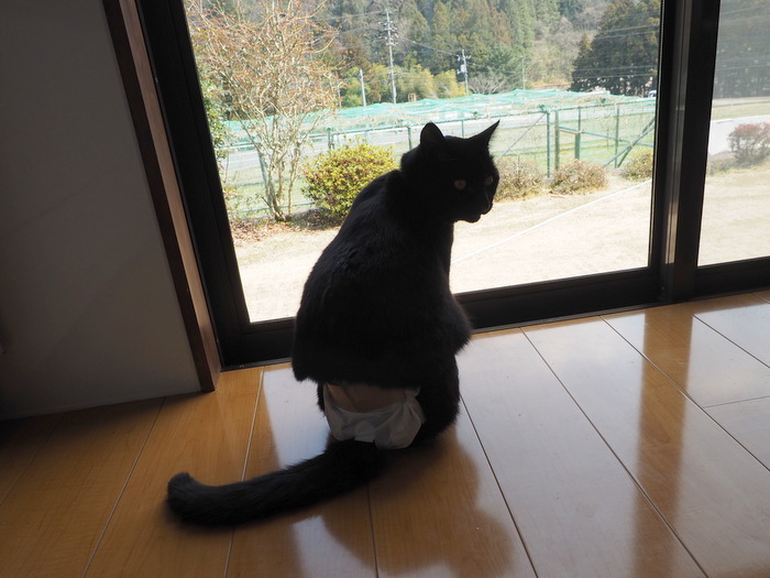今日のくうちゃん_c0116915_00314417.jpg