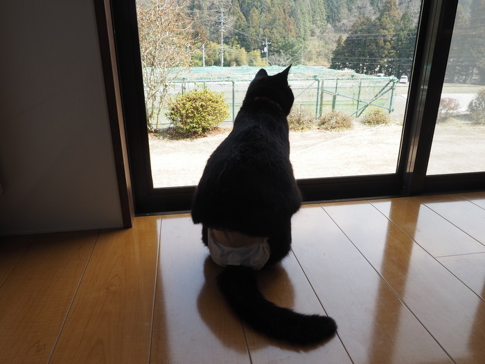 今日のくうちゃん_c0116915_00315552.jpg