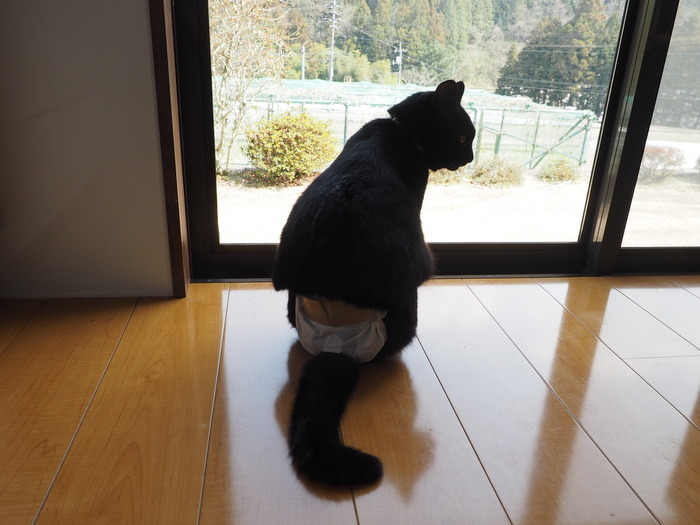 今日のくうちゃん_c0116915_00320557.jpg