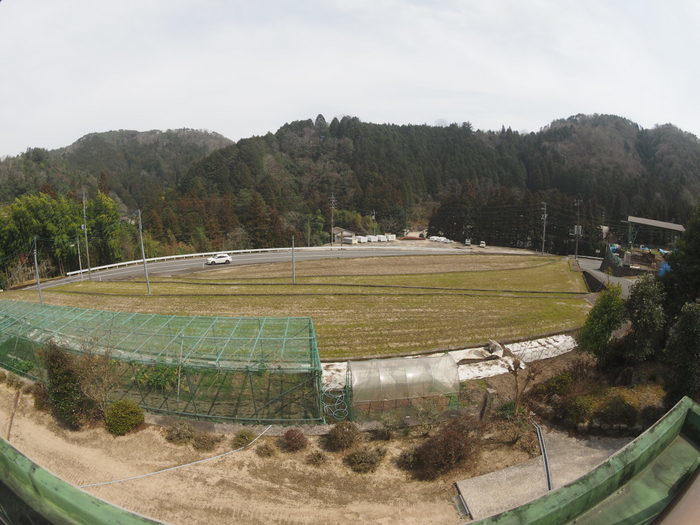 今日も晴れ_c0116915_23523678.jpg