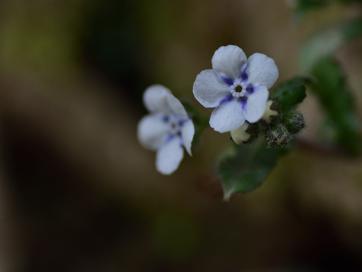 d0355116_20532405.jpg