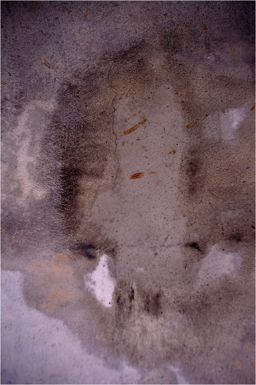b0226423_10581356.jpg
