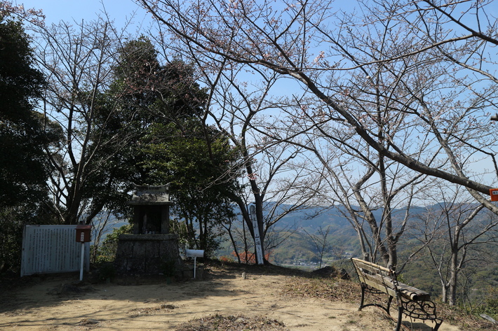 里山歩きでエビネ観察!_e0272335_19385993.jpg
