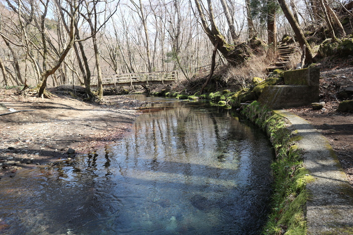 白水湿生花園(カタクリ)&男池(ハルトラノオ)&清滝(ハシリドコロ)!_e0272335_526916.jpg