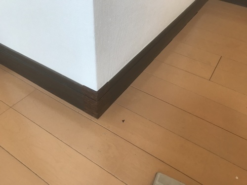 22日突入_f0031037_20175263.jpg