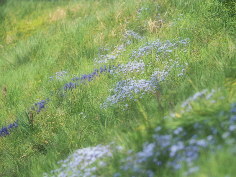 d0290240_15583897.gif