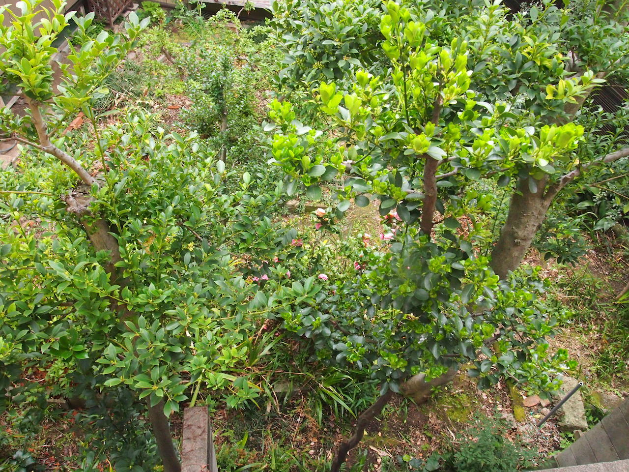 b0396150_09224317.jpg