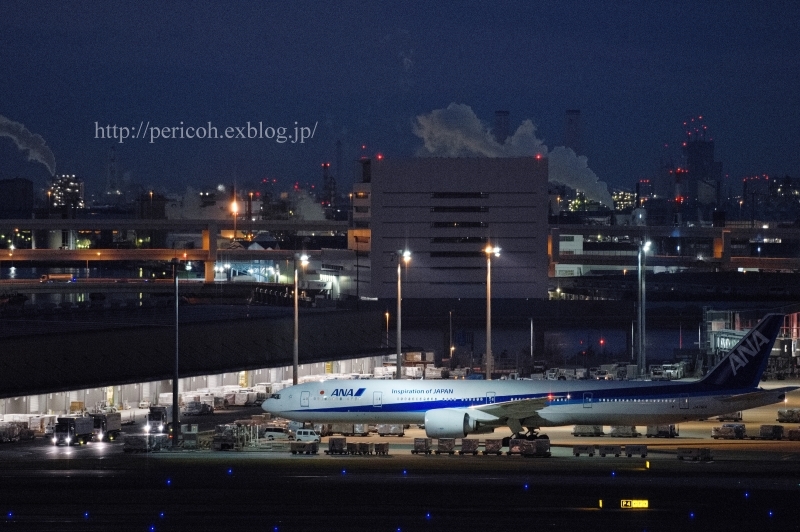 2019元旦から飛行機撮影＠羽田空港_c0354758_22113274.jpg