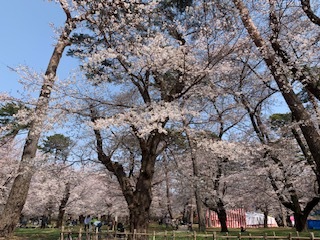 素敵な日☆_e0040673_20452314.jpg