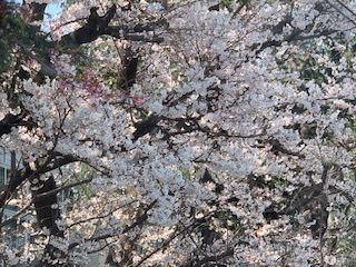 素敵な日☆_e0040673_20452399.jpg
