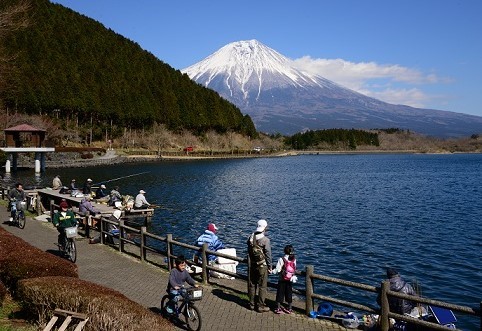 趣味の写真・・・富士山_b0105374_11072777.jpg