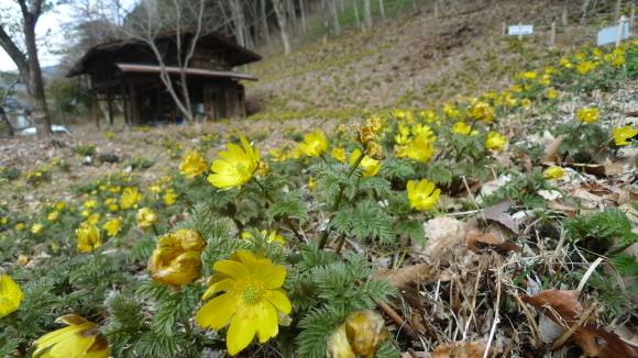 c0212083_17102980.jpg