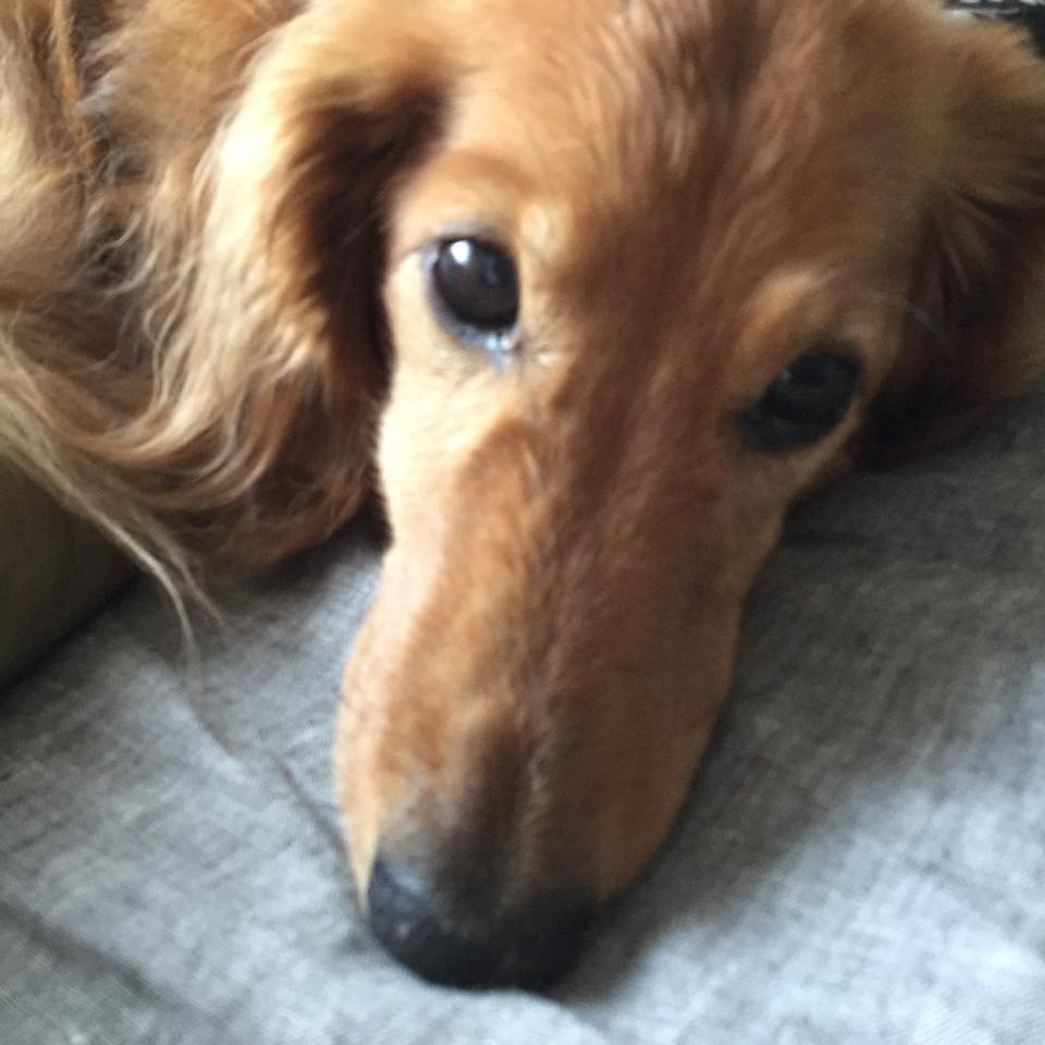b0098584_18235184.jpeg