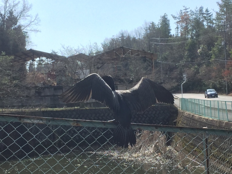 e0211285_17282159.jpeg
