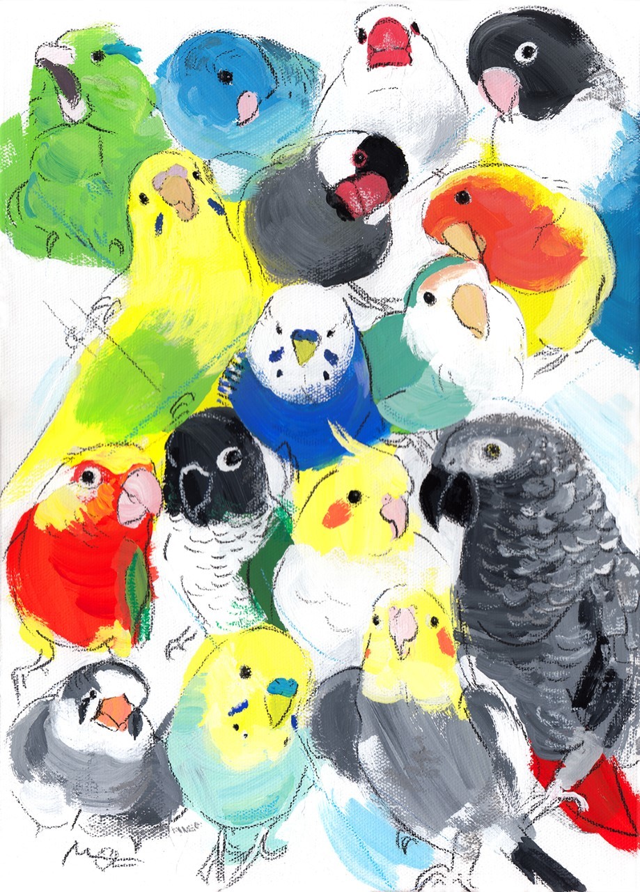 関西つうしん鳥展終了しました。東急ハンズ梅田店4月1日~18日迄【インコと鳥の雑貨展】と実演とオーダー会_d0322493_23353426.jpg
