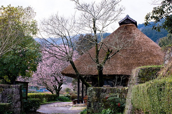 e0176993_09175175.jpg